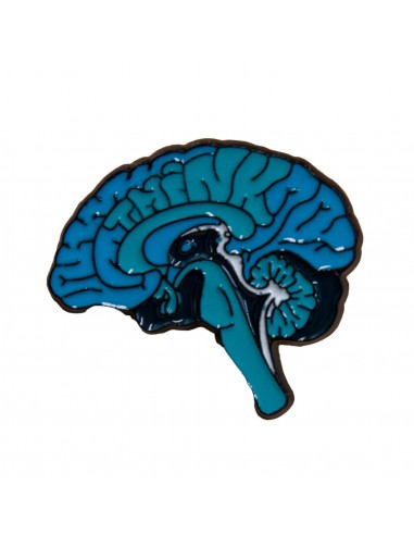 Pin's Cerveau bleu