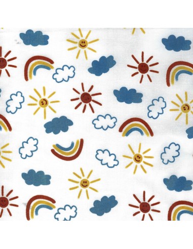 copy of Calot couvrant Île d'Arz